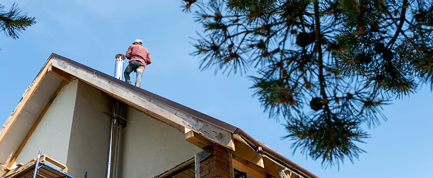 Birds Removal Contractors from Chimney in Anoka, MN